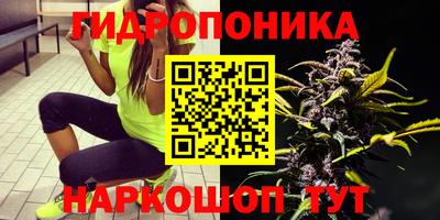 крисы Будённовск